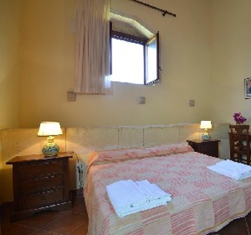 Camera Standard Zeus